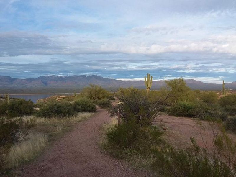 View of the sights at Grapevine campground