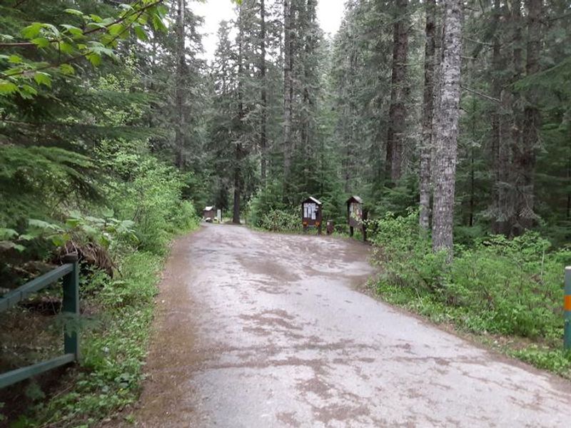 Honeysuckle Entrance