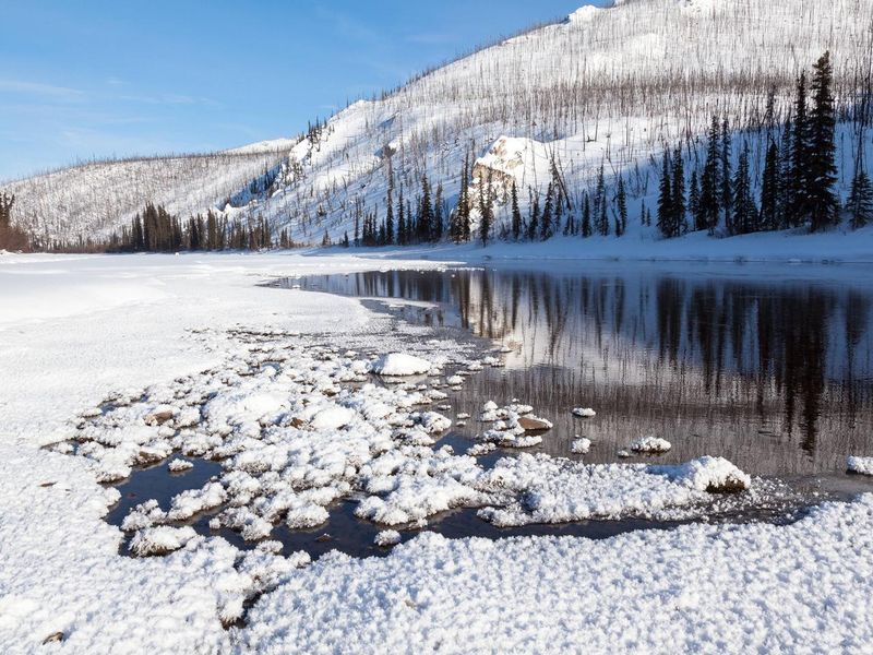 A spring keeps this section of Beaver Creek Wild and Scenic River from freezing despite frigid winter temperatures in the White Mountains.