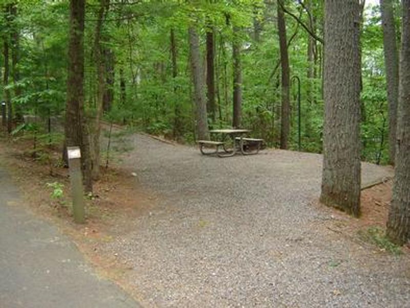 Campsite with picnic table, and lantern post.