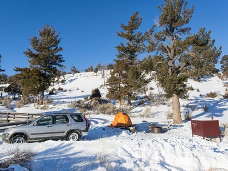Mammoth Hot Springs Campground is the only campground in the park open year-round.