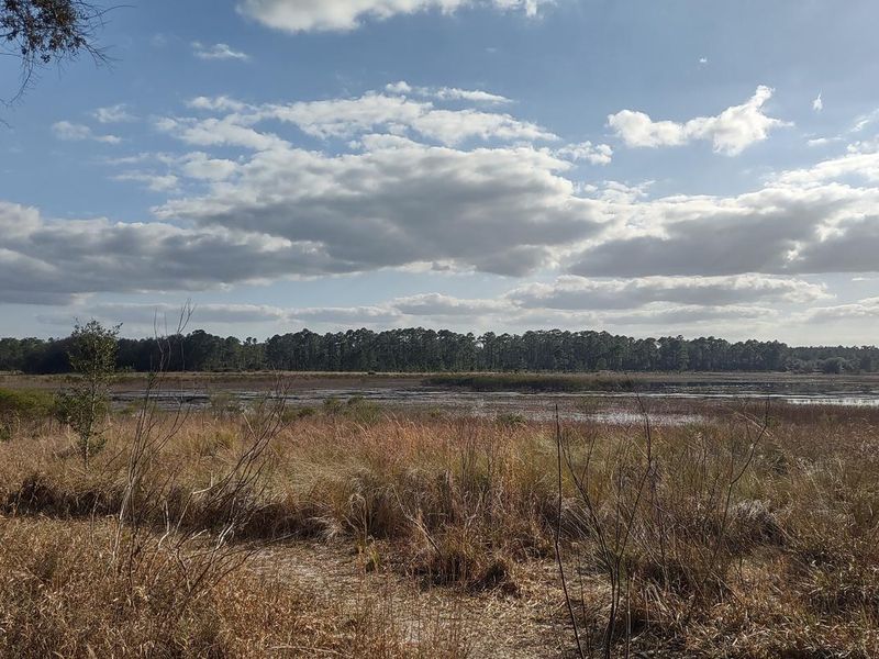 View from campground