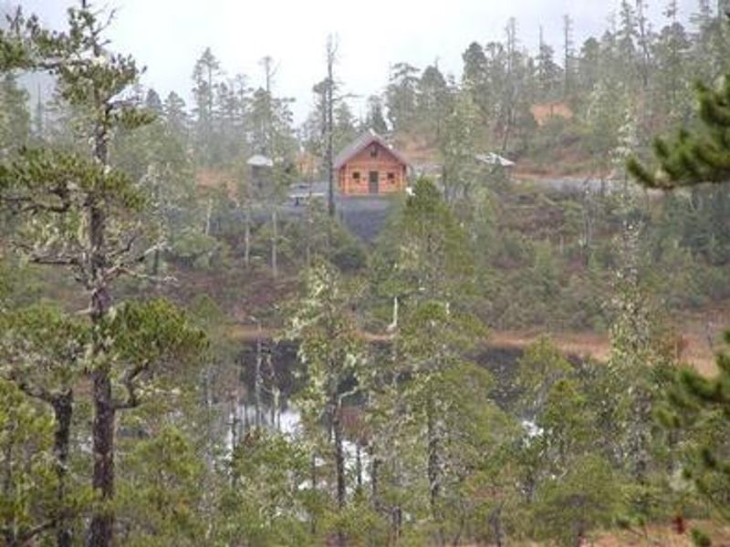 Middle Ridge Cabin surroundings