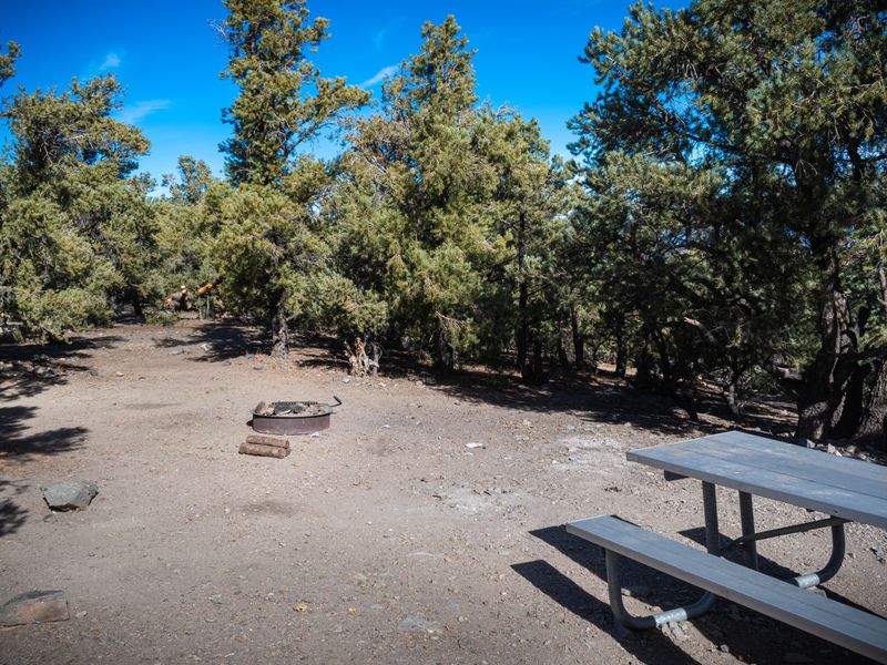 One of a handful of tent sites from which to choose.