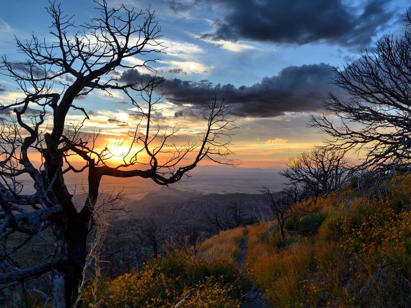Gorgeous Sunsets From Chiricahua