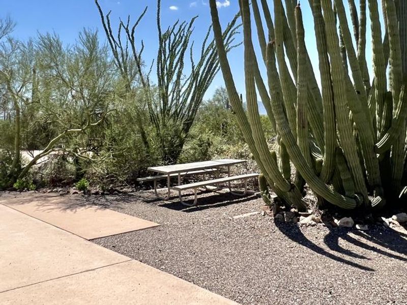 A campsite at Twin Peaks Campground.