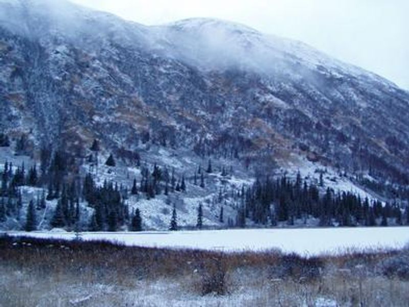 SWAN LAKE CABIN SEWARD