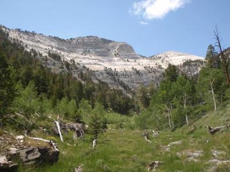 Mt Washington at Great Basin National Park