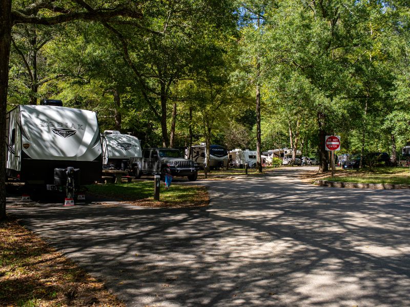 Park your RV next to the river