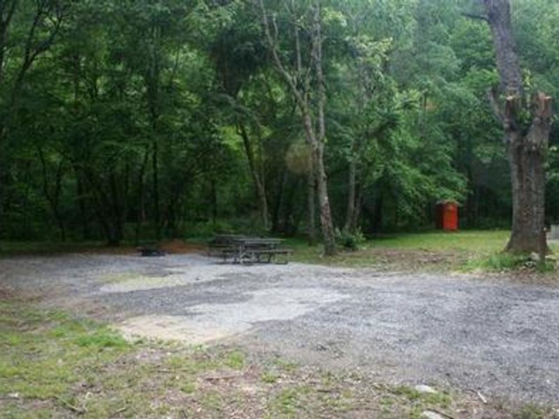CATALOOCHEE HORSE CAMP SITE WITH PICNIC TABLE