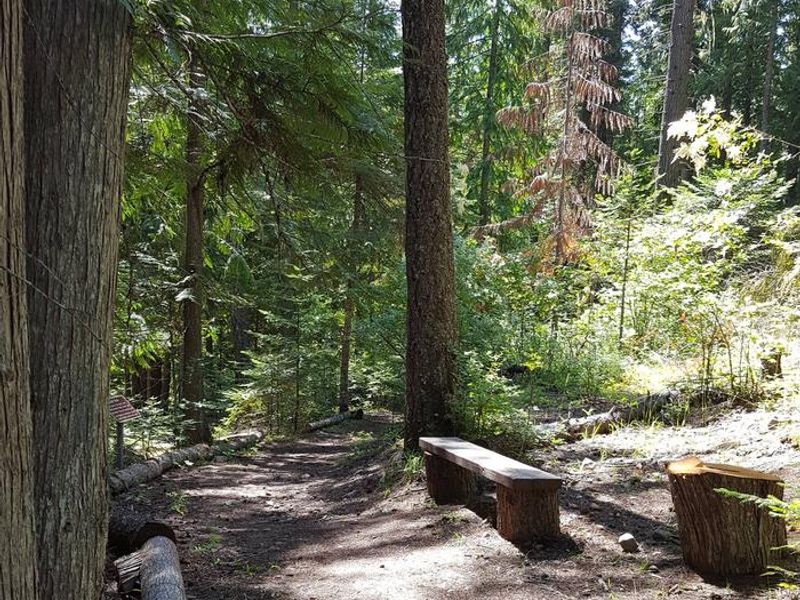 Trail at Osprey Campground