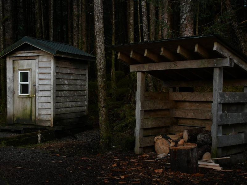 Behind Twelvemile Cabin