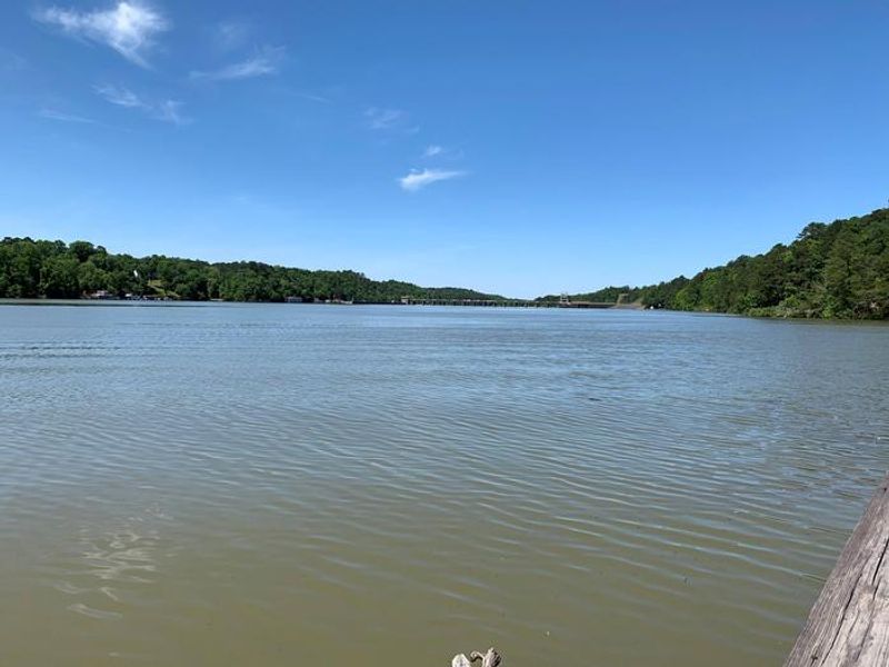 View up river of Holt Lock and Dam from the fishing pier