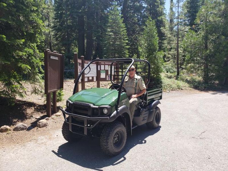 Forest service worker in French Meadows