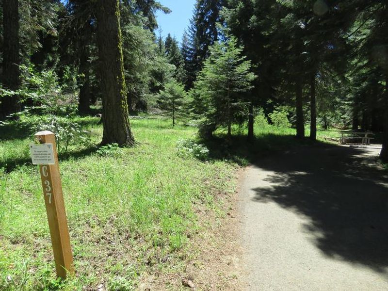 Hyatt Campground Campsite