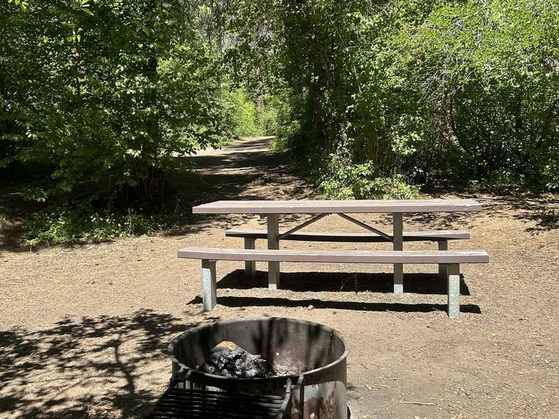 Brownlee Campground Site #2