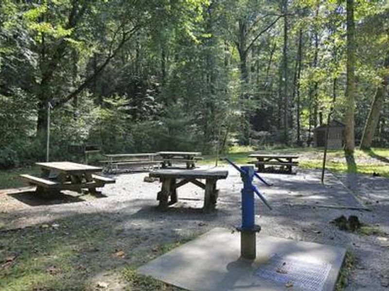 Picnic tables and fire ring at White Pines 