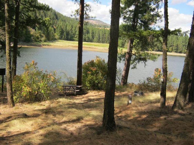 Kamloops Campground. Trees and lake in the background.