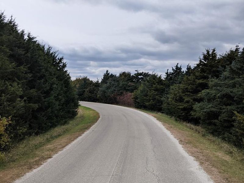 Farnum Creek Loop A Road