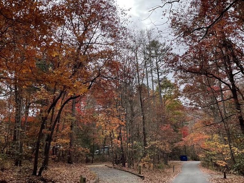 Hard Times Loop in the fall 