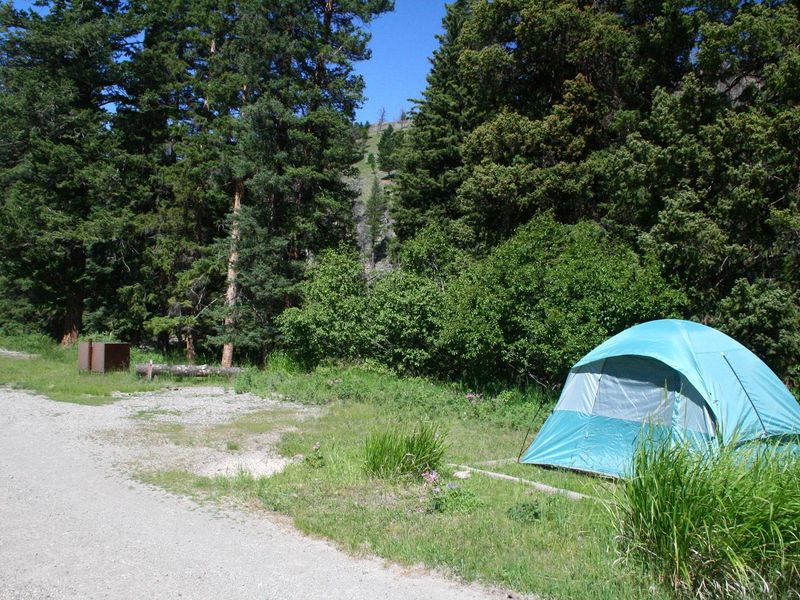 Slough Creek Campground Site #9