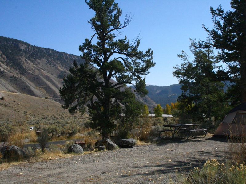 Mammoth Campsite #58