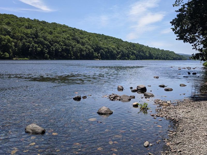 View of the Delaware River from the riverbank. 