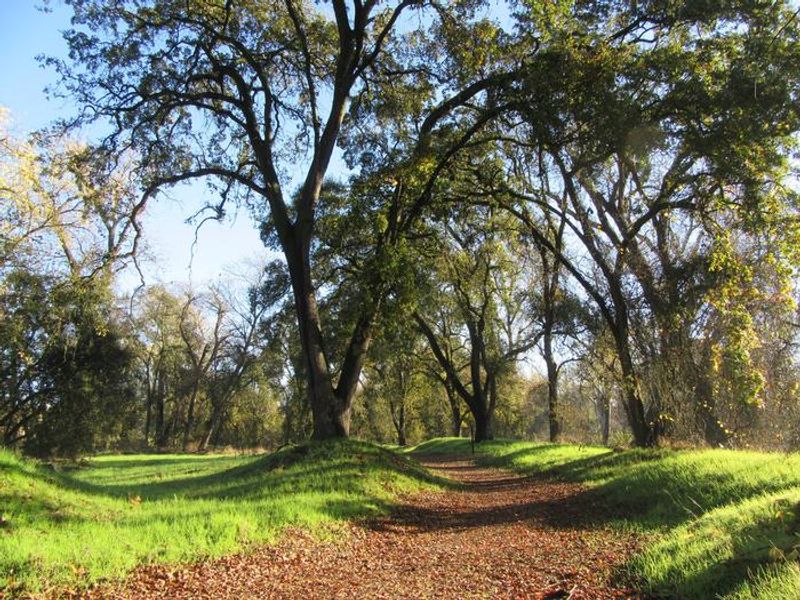 Walking trail at Valley Oak Recreation Area