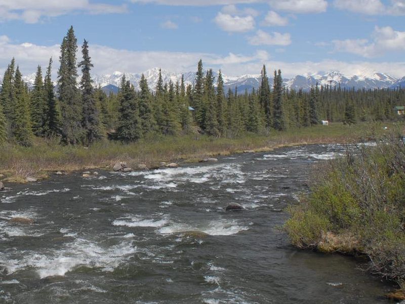 Brushkana Creek Campground 