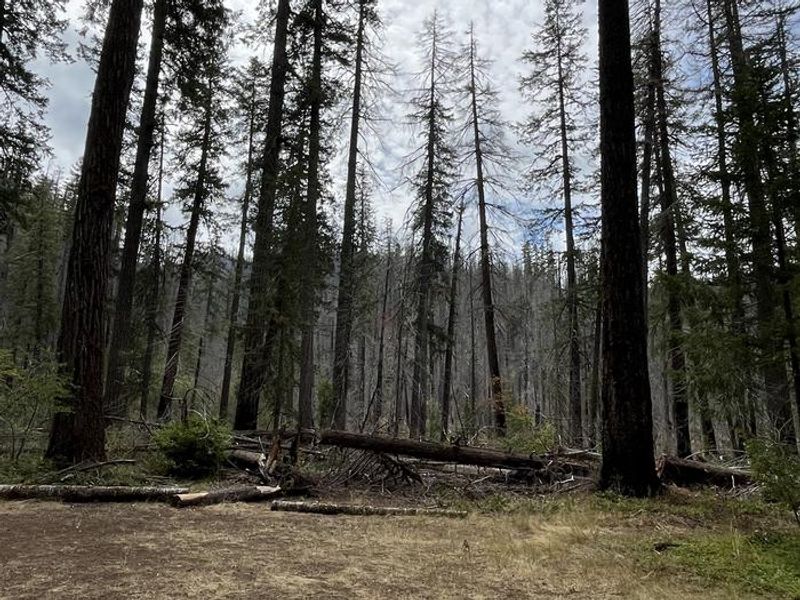 Enjoy the quiet beauty of Humbug 