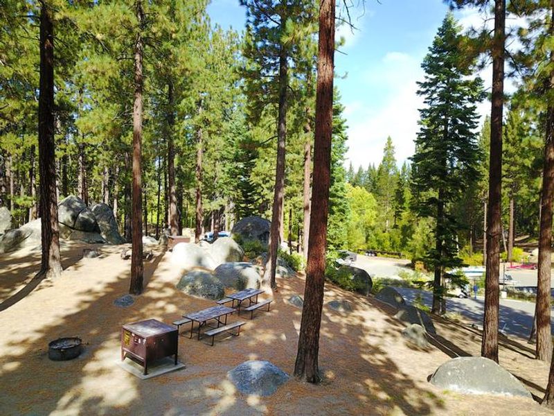 A serene picnic area with tall pine trees and boulders, featuring picnic tables and a grill, under clear skies.