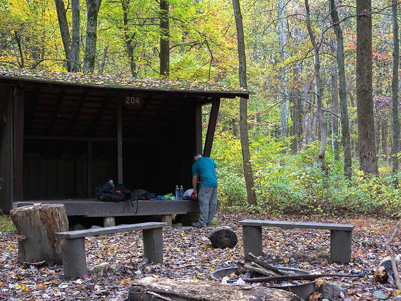 Relax and rejuvenate in a backcountry shelter surrounded nature.