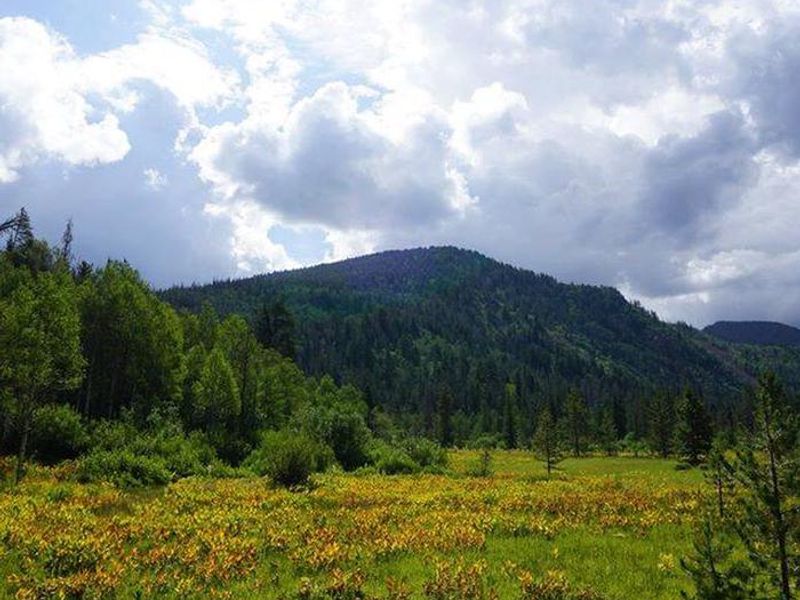 LEDGEFORK CAMPGROUND