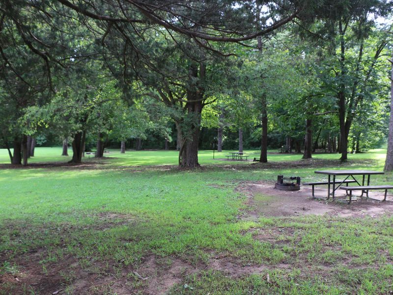 Several tent sites are available with ample shade for campers.