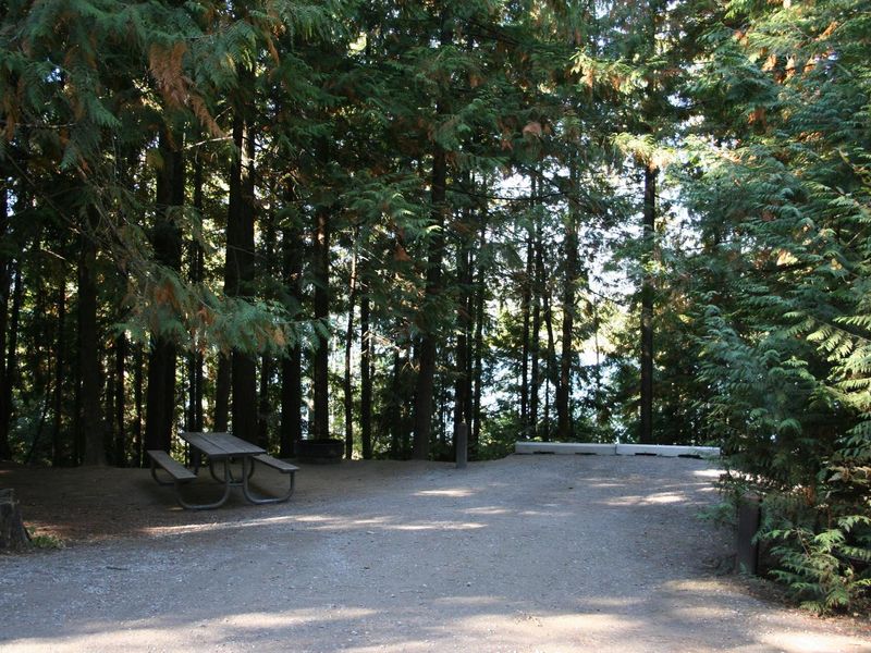 Typical campsite at Springy Point.