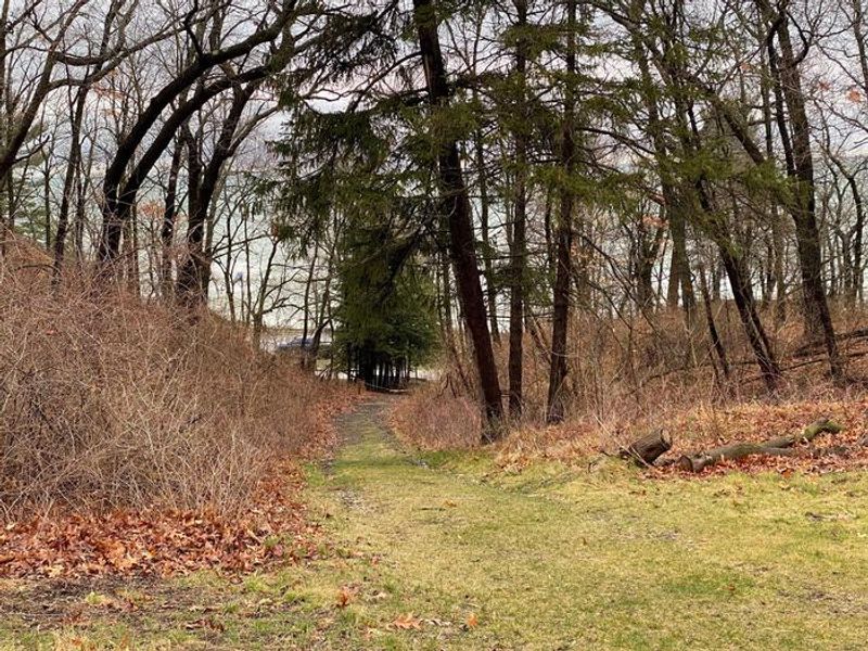 The trail leads down a hill from the Dunbar Group site towards the parking lot.