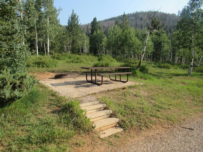 The campground sits in a large Aspen tree stand.