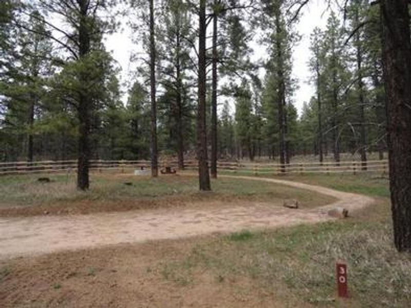 Typical RV Site at Pioneer CG