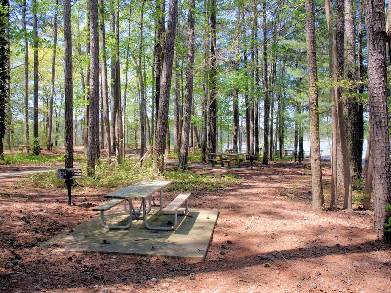 Galt's Ferry Picnic Area Near Bathroom.