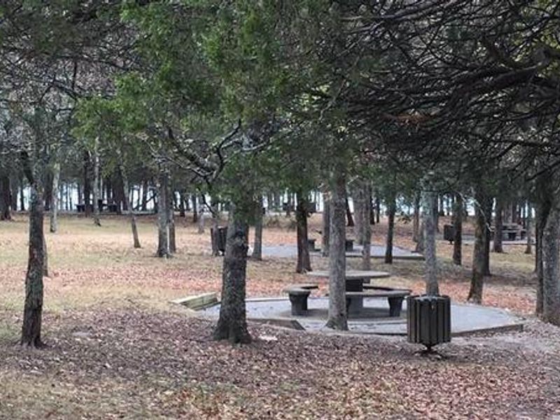 SMITH SPRINGS - picnic area