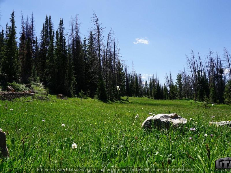 LOST CREEK CAMPGROUND