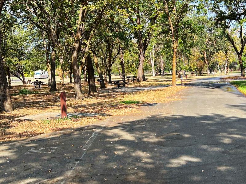 A portion of the loop road through Sycamore