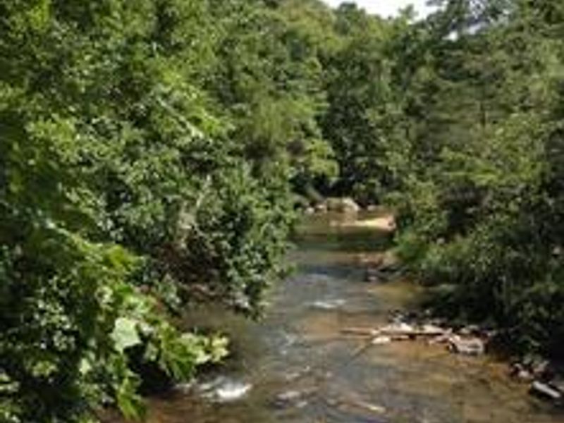 Nearby fishing stream