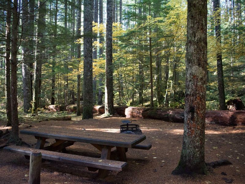 Lower Falls Campground site