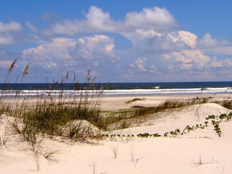 Cumberland Island is home to 17 miles of undeveloped beach offering excellent opportunities for beach combing, swimming, photography, and solitude. 