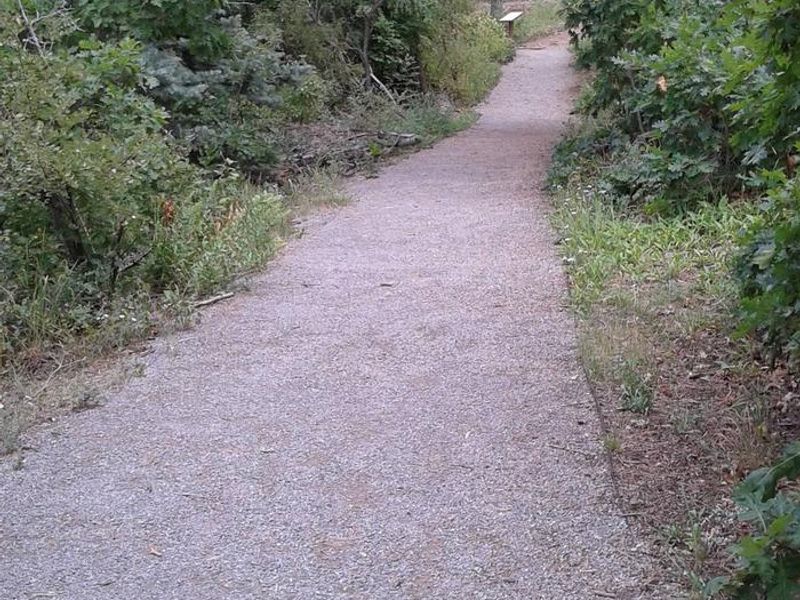 Balsam Glade Nature Trail to La Madera Canyon Overlook