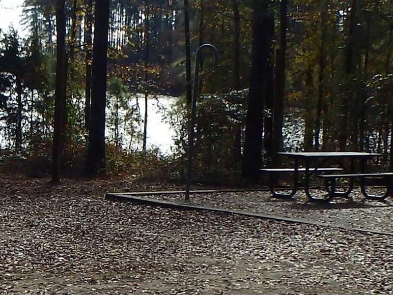 Bussey Point Campground Georgia