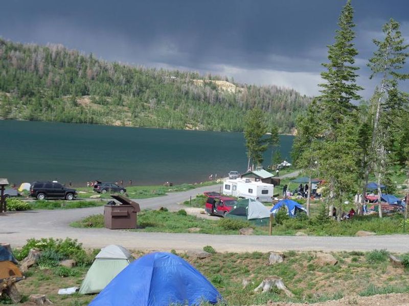 Spruces campground