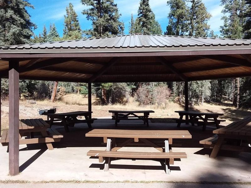 Shaded group picnic area.