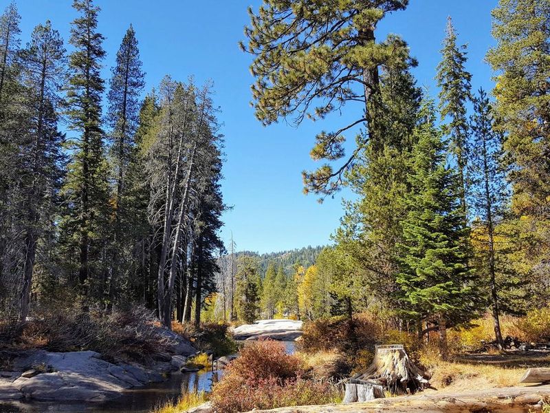 View of South Yuba River from Campground